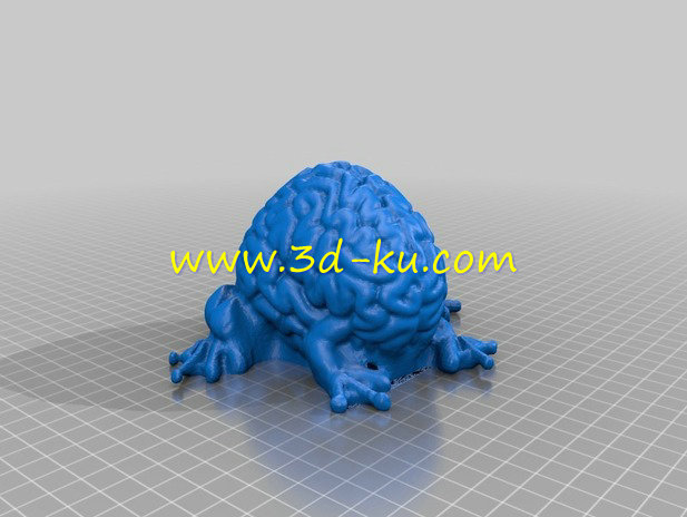 青蛙的大脑模型的图片1