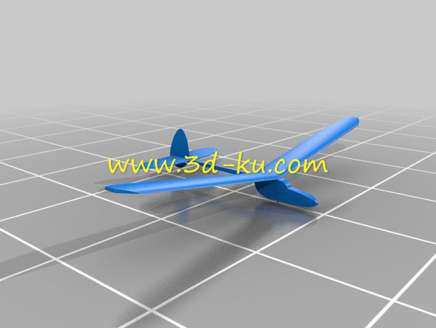 滑翔机模型的图片3