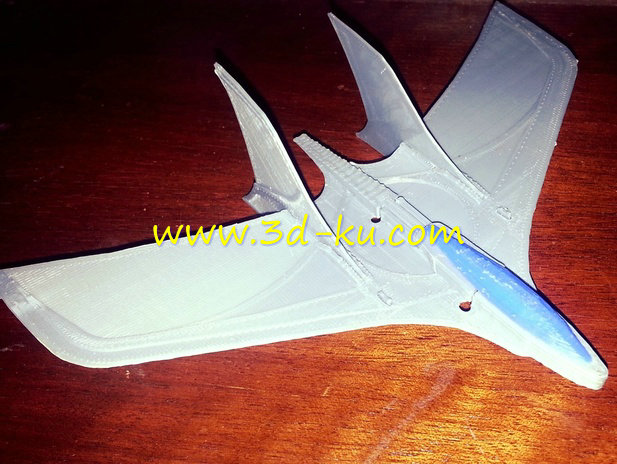飞行翼模型的图片1