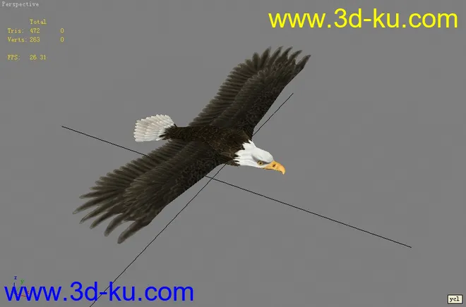 自己做的一个美国的白头鹰模型的图片1