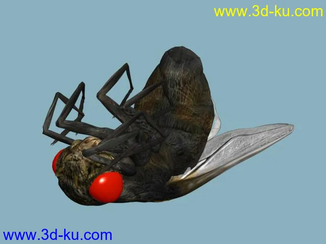 一只死苍蝇模型的图片1