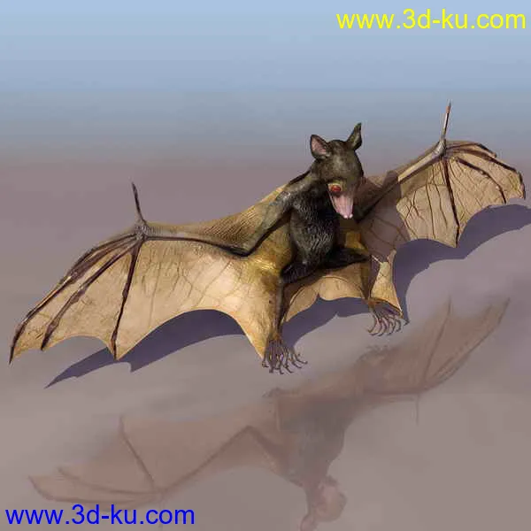 恐龙蝙蝠斑马等模型的图片3