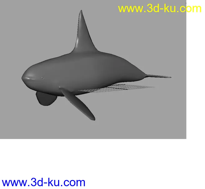 鲸鱼一条模型的图片1