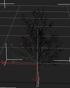树模型的图片1