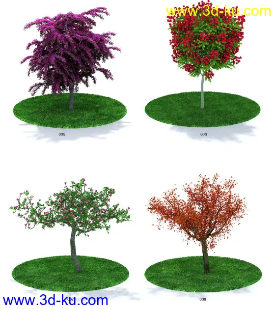 一套精品树模模型的图片2