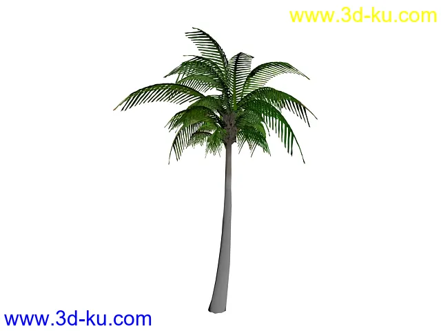 椰树模型的图片1