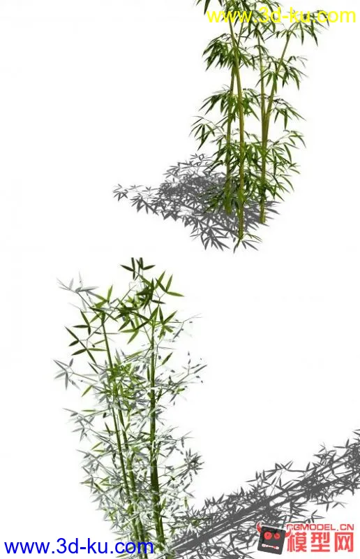 各类竹子12种，够用了吧~模型的图片3