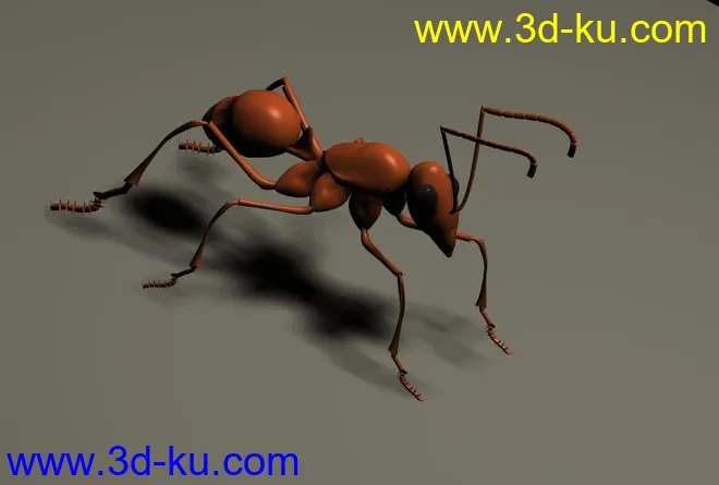 红蚂蚁模型的图片1