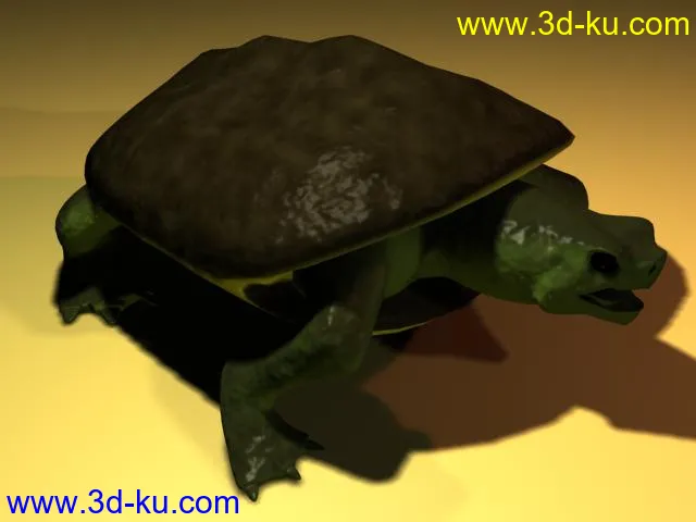 海龟，还算精细的模型的图片1