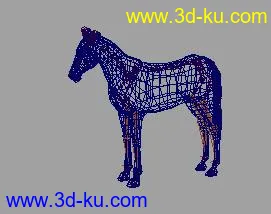 带骨骼的马模型的图片1