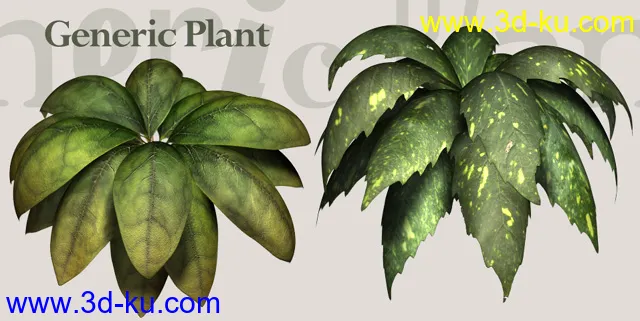 一套很漂亮的精细植物模型的图片9