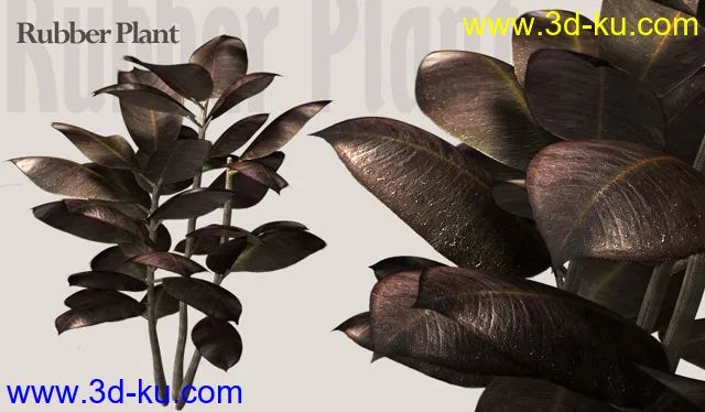 一套很漂亮的精细植物模型的图片12