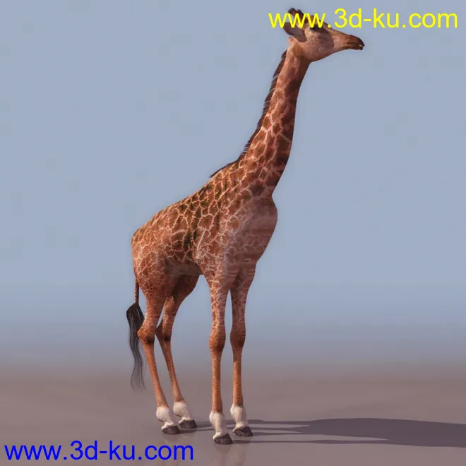 长颈鹿模型的图片1