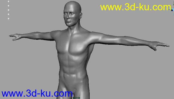 一个超棒的男人体模型的图片2
