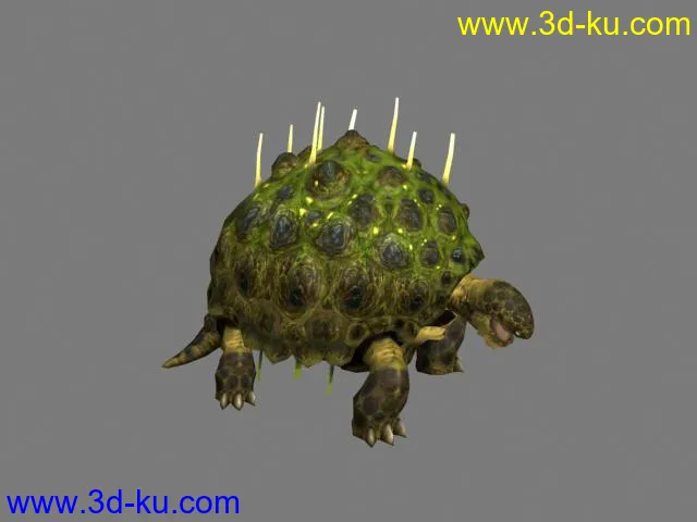 大乌龟模型的图片1