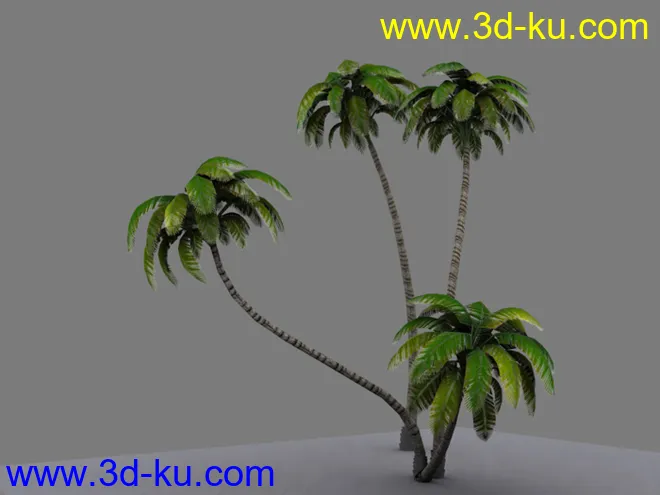 自己做的游戏椰树模型的图片3