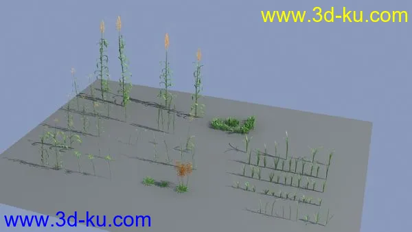 草与芦苇植物模型的图片2