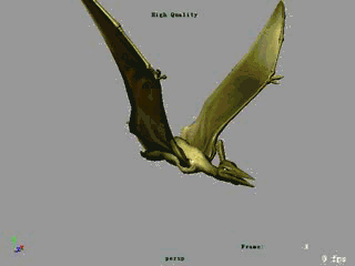 次时代模型【翼龙】从贴图到绑定一应俱全（附带飞行动画）的图片1