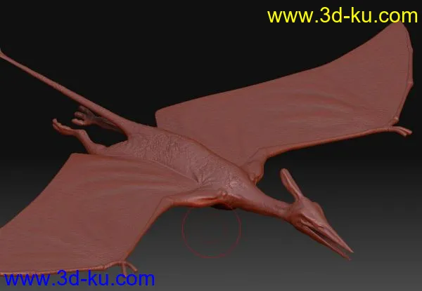 次时代模型【翼龙】从贴图到绑定一应俱全（附带飞行动画）的图片2