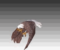带骨骼动画的飞翔雄鹰（游戏用低模）模型的图片1