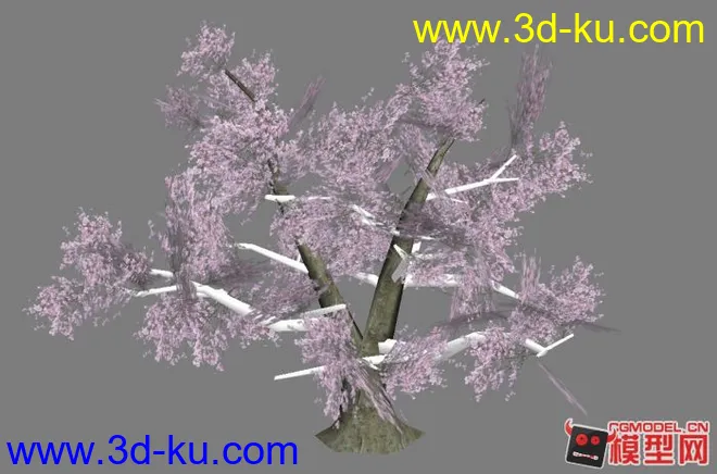 [首发]樱花大树带动作！模型的图片2