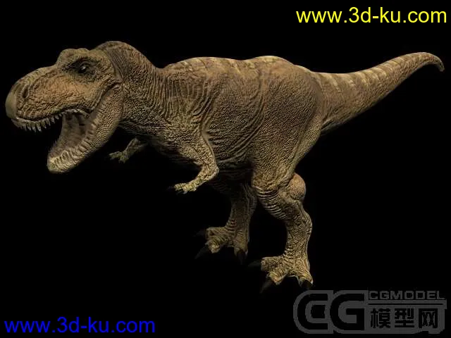 两只恐龙模型的图片1
