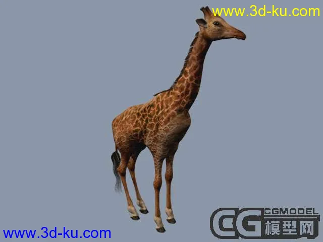 长颈鹿一只模型的图片1