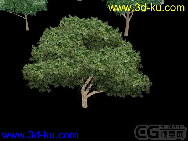 无限试驾——树木小集模型的图片3