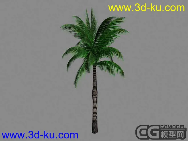 超像的椰子树模型的图片1