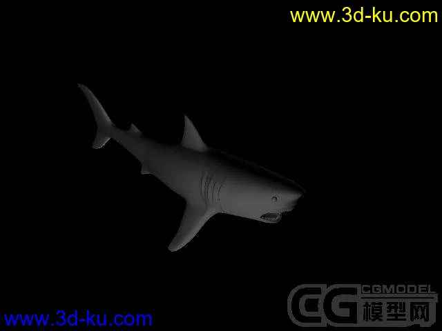 鲨鱼。模型的图片1