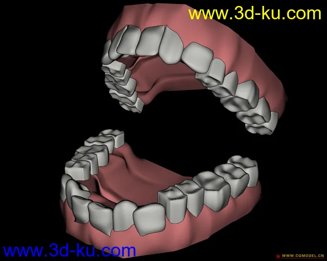 一副牙齿模型的图片1