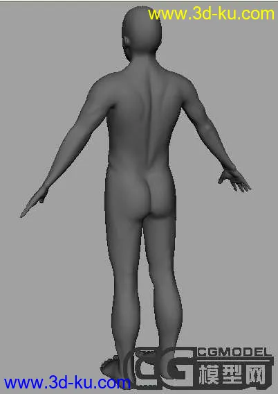 以前做了个男人体，发上来请大家点评点评模型的图片2