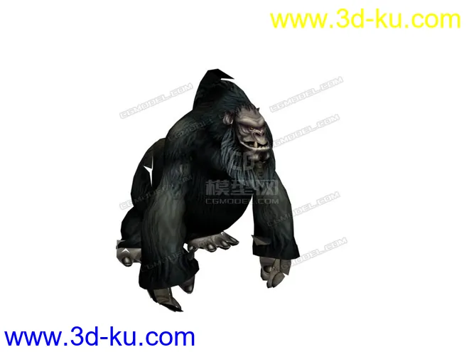 年老的大猩猩模型的图片1