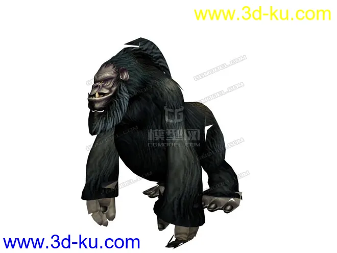 年老的大猩猩模型的图片2