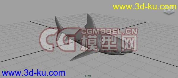 鲨鱼模型，的图片1