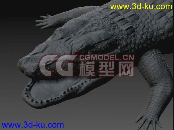 ZB鳄鱼模型的图片1