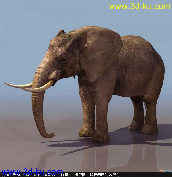 大象模型的图片1