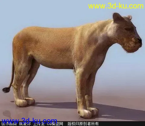 狮子模型的图片1