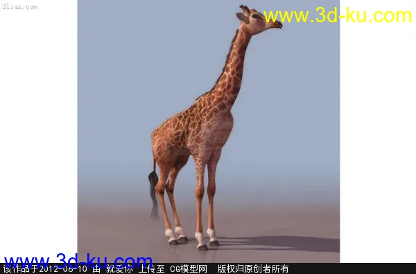 长颈鹿模型的图片1