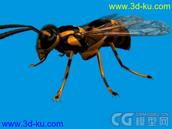 常见昆虫模型下载的图片2