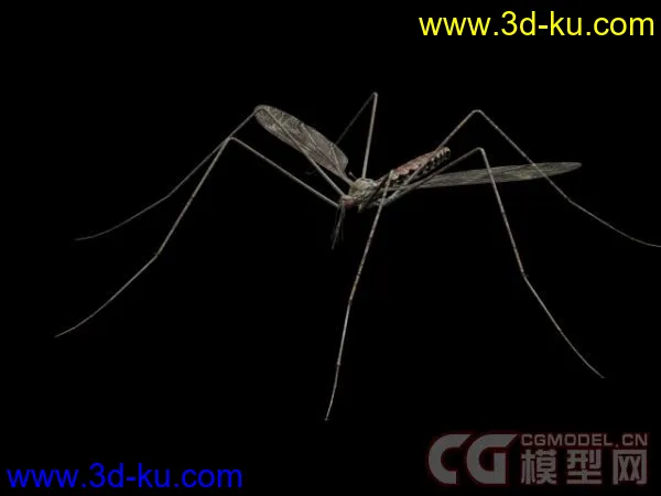 蚊子模型下载的图片1