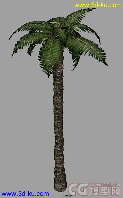 【实用精品】分享热带树一棵模型的图片1