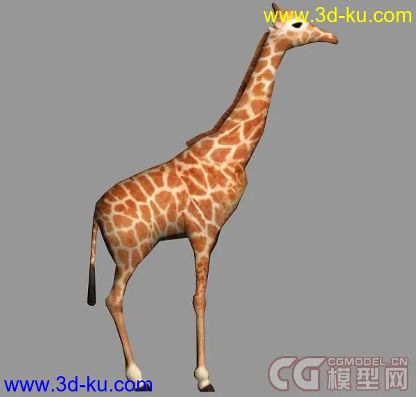 3D长颈鹿模型的图片1