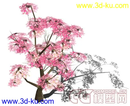 桃花树模型的图片1