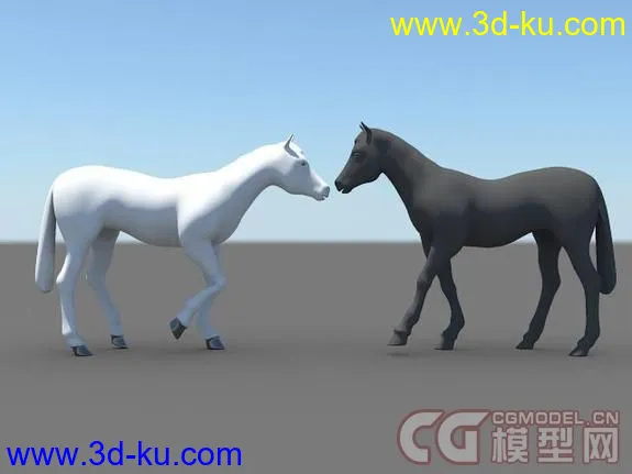 Horse绑定的马模型的图片10