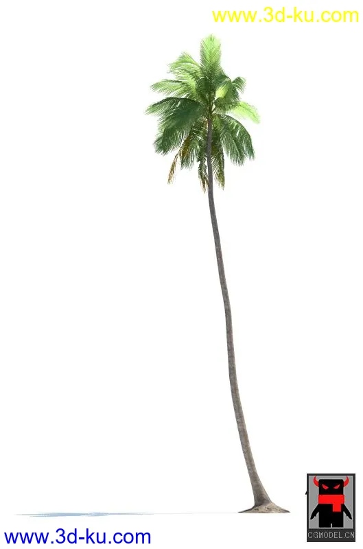 热带植物模型的图片10