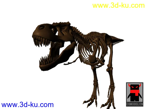 骨龙模型的图片1