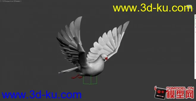 MAX的鸽子。绑定+动画。模型的图片1