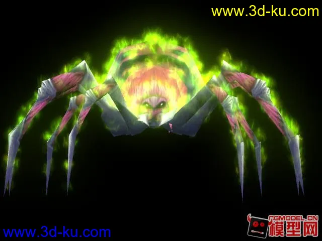 蜘蛛模型的图片2