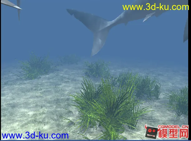 海底鲨鱼场景--分享模型的图片6